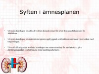 /album/a6-utsondringssystemet/a6-utso%cc%88ndringssystemet-0001-jpeg/